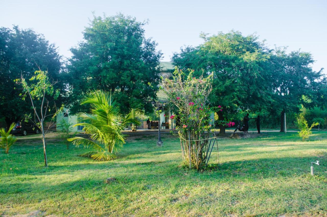Forestville Yala Εξωτερικό φωτογραφία