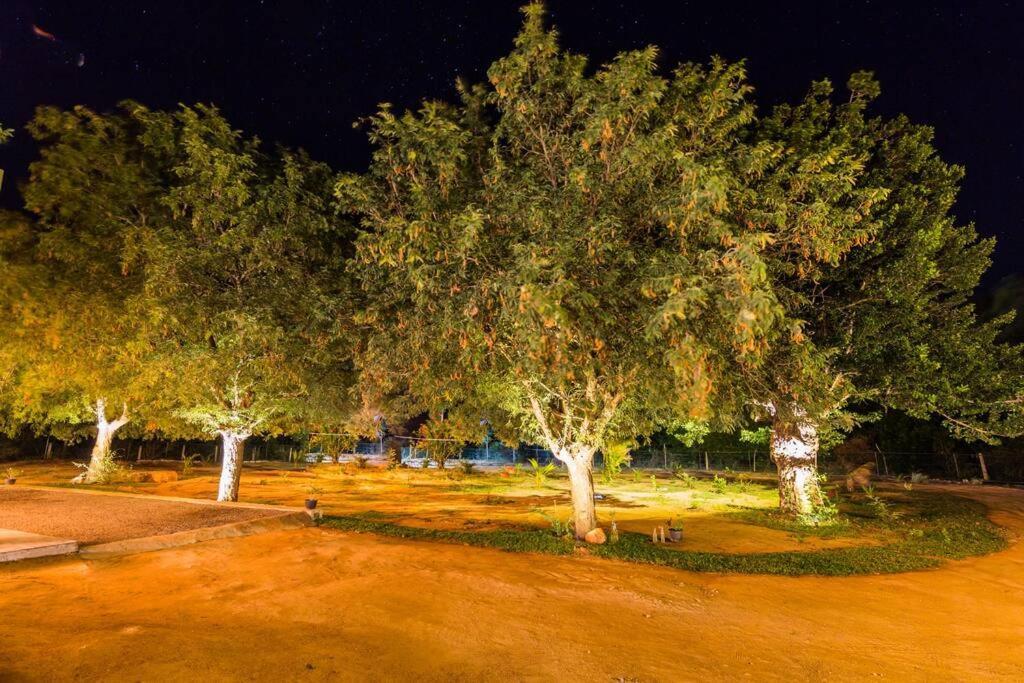 Forestville Yala Εξωτερικό φωτογραφία