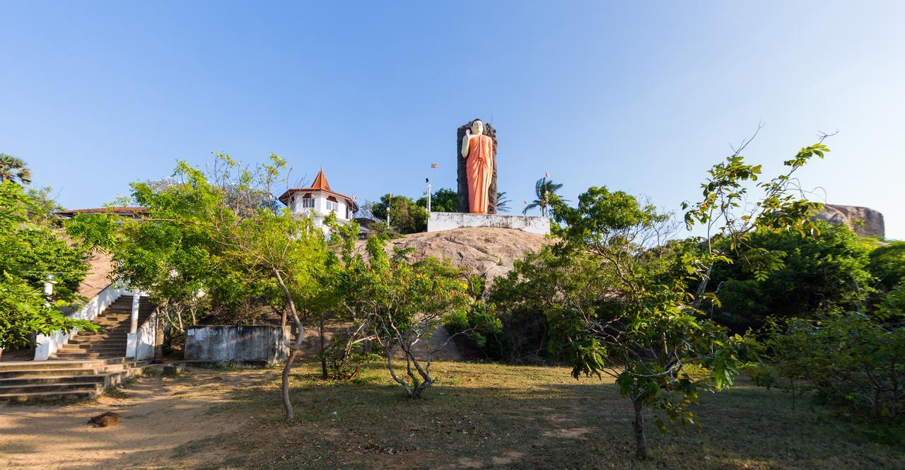 Forestville Yala Εξωτερικό φωτογραφία