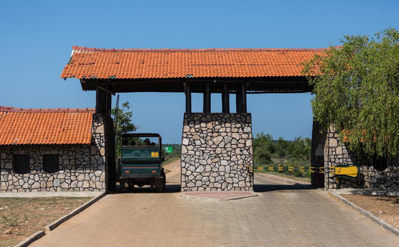 Forestville Yala Εξωτερικό φωτογραφία