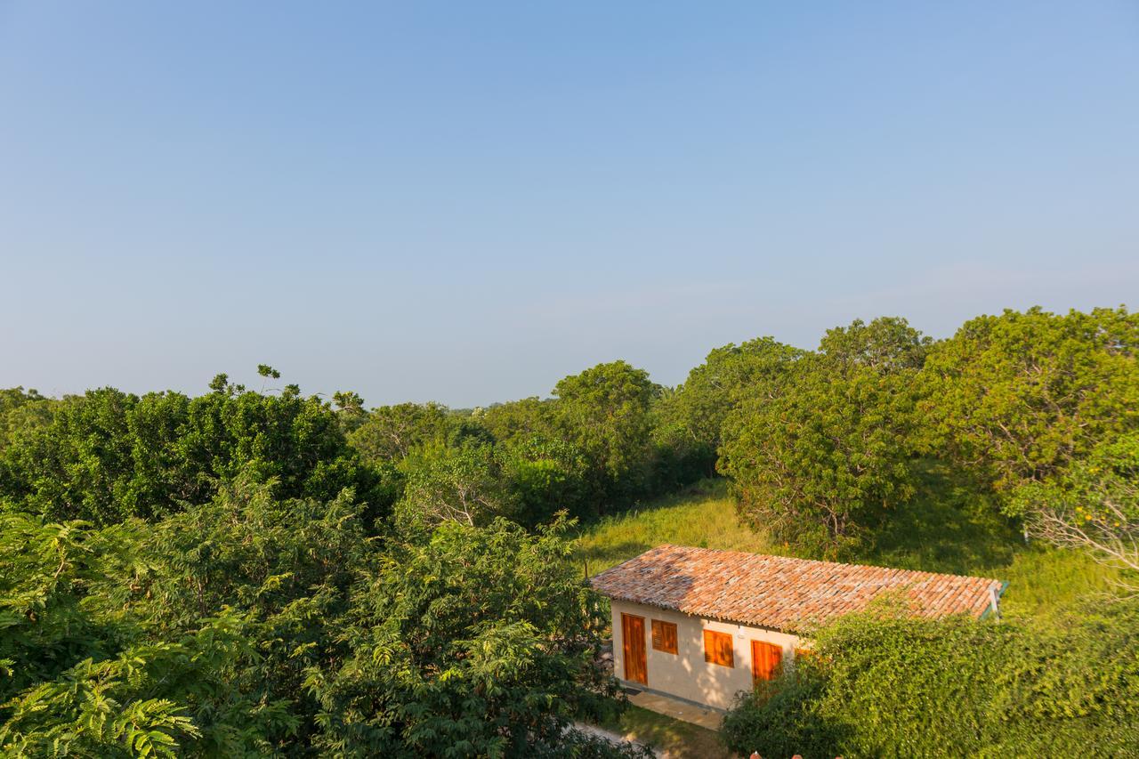Forestville Yala Εξωτερικό φωτογραφία